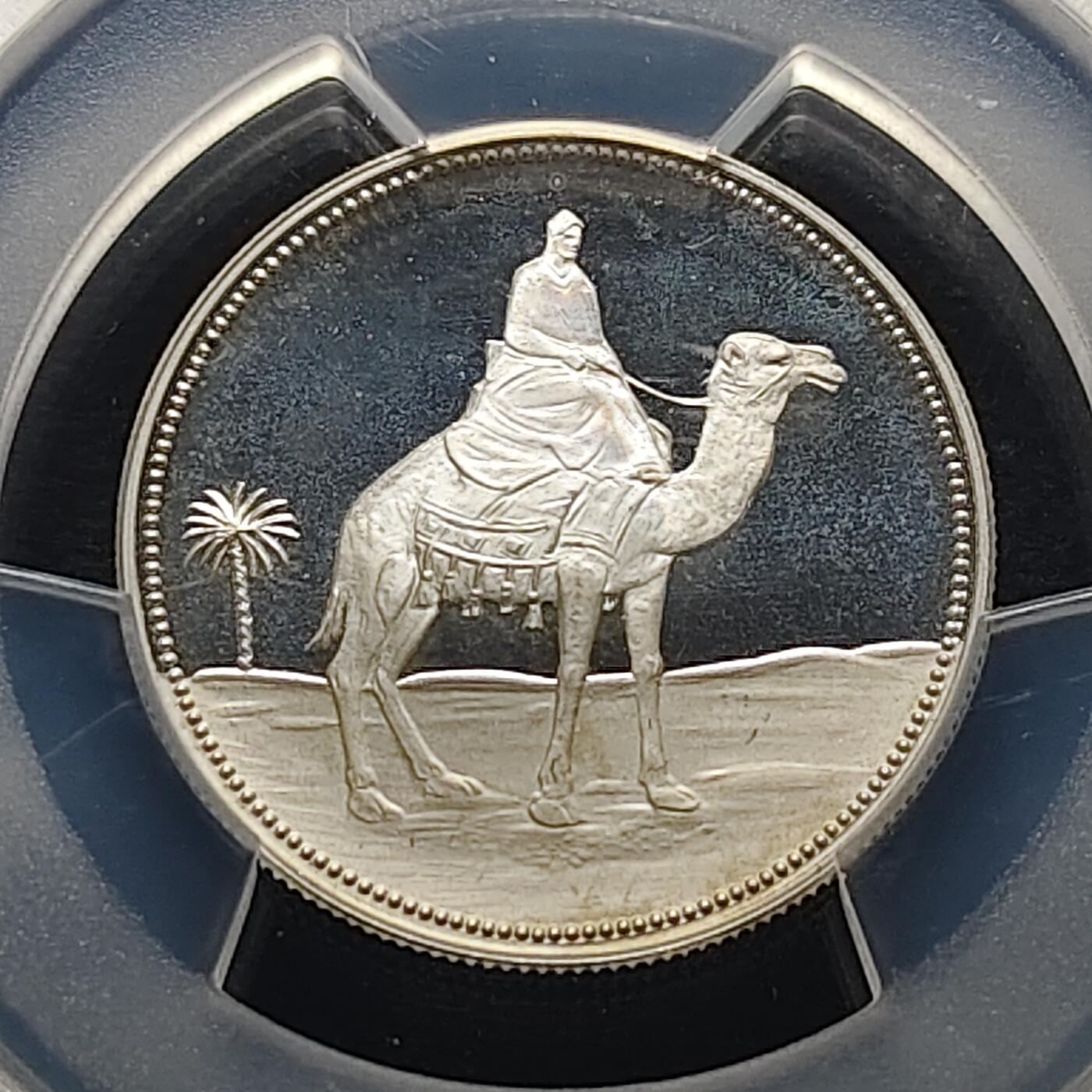 【全场包邮】纯粹捡漏拍481场（免费代拍第18场） 也门【少见】也门1969年1里亚尔骆驼骑士精制纪念银币-PCGS PR67 DCAM