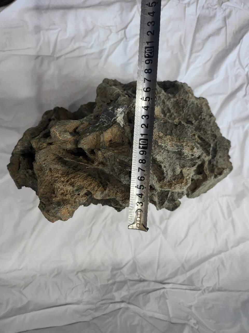 45公斤重定向橄榄陨石