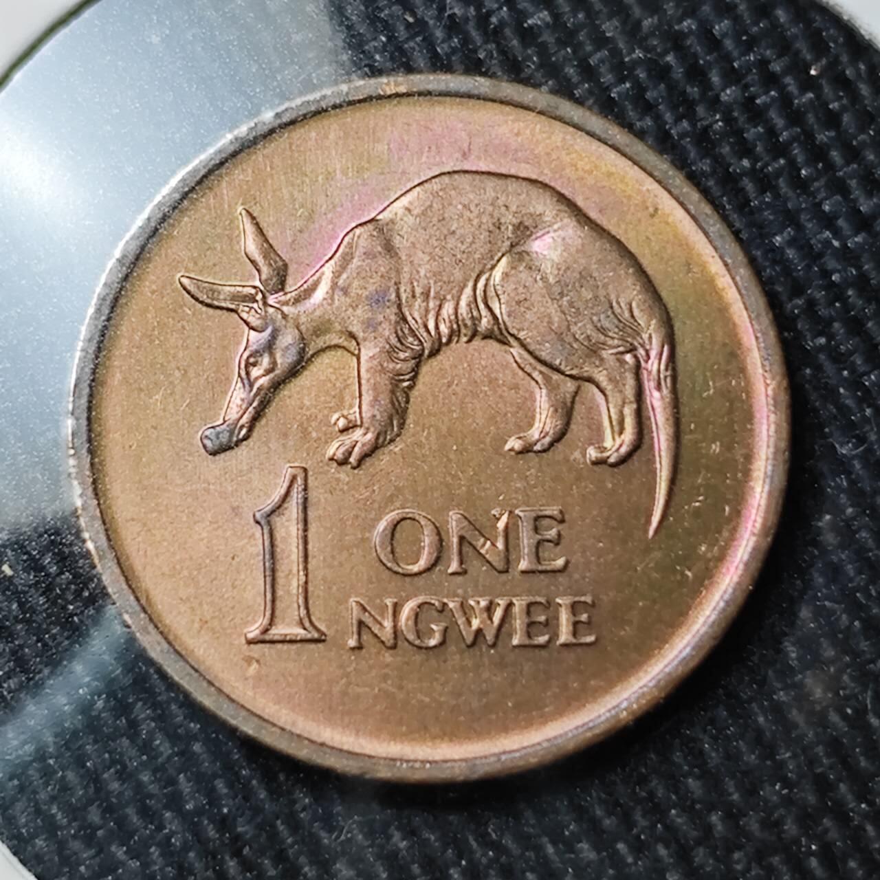 KK钱币收藏小铺 （套币 好品/批量散币 银币）专场  2月预留时间 周末发货  1969乌干达1恩韦铜币 带彩漂亮