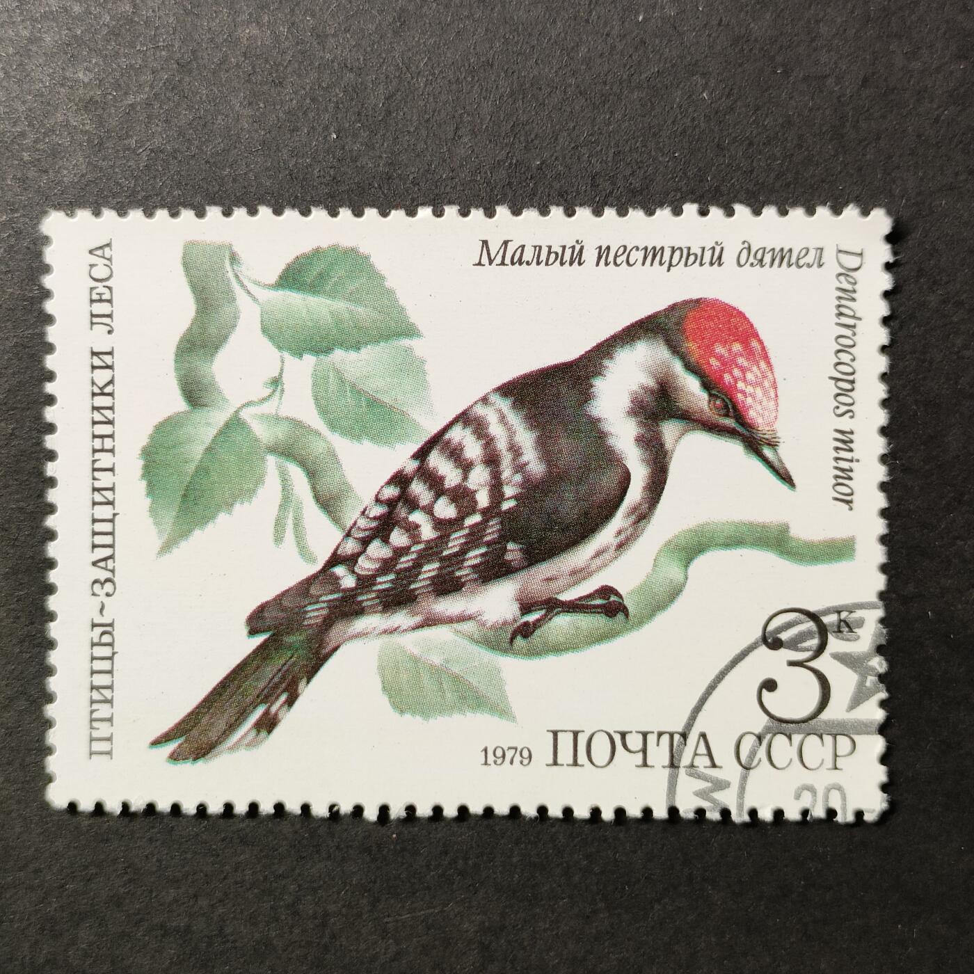 嘉禾收藏    【第389期】            无佣金、可寄存、满30元包邮 苏联邮票