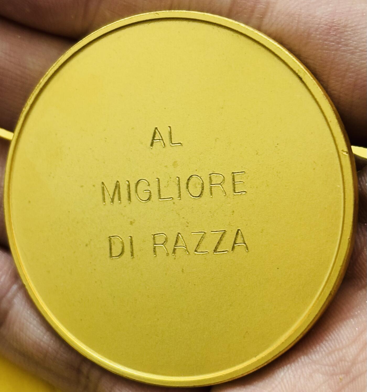 文馨钱币收藏第 283 场，【大雪鉴珍，寒英缀金】金银纪念币精品场，诚邀您的参与【长期接代拍品】 犬类协会镀金铜章 正面狗狗传神逼真毛 发丝丝柔顺 神情憨态可掬 高浮雕 大规格 58.55克 49.8mm