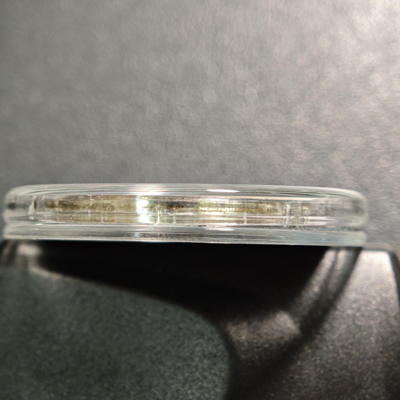 【德藏】世界币章拍卖第155期（拍品征集中~欢迎藏友联系） 2020年 法国香榭丽舍大街10欧元纪念银币 原盒 带证书  直径约：37mm；重约：22.2g