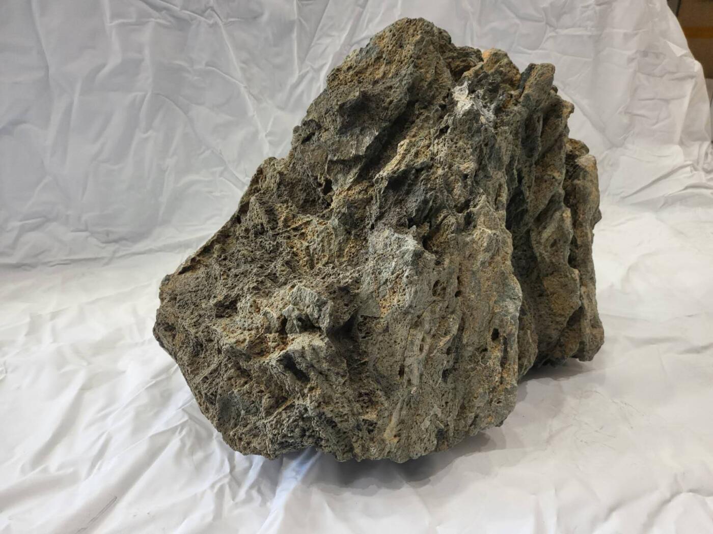 45公斤重定向橄榄陨石