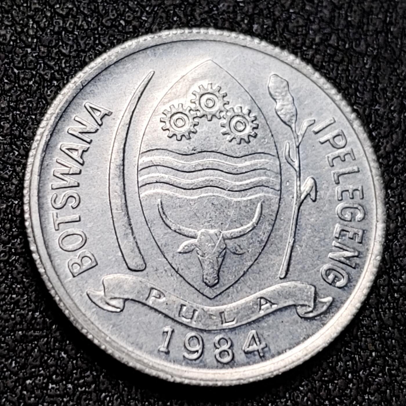 泉币菌-第141场-精品福利场（之前场次29日、30日发货，敬请谅解） 原光 博茨瓦纳1984年1西比铝币 18.5mm 非洲硬币 