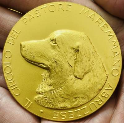 文馨钱币收藏第 283 场，【大雪鉴珍，寒英缀金】金银纪念币精品场，诚邀您的参与【长期接代拍品】 - 犬类协会镀金铜章 正面狗狗传神逼真毛 发丝丝柔顺 神情憨态可掬 高浮雕 大规格 58.55克 49.8mm