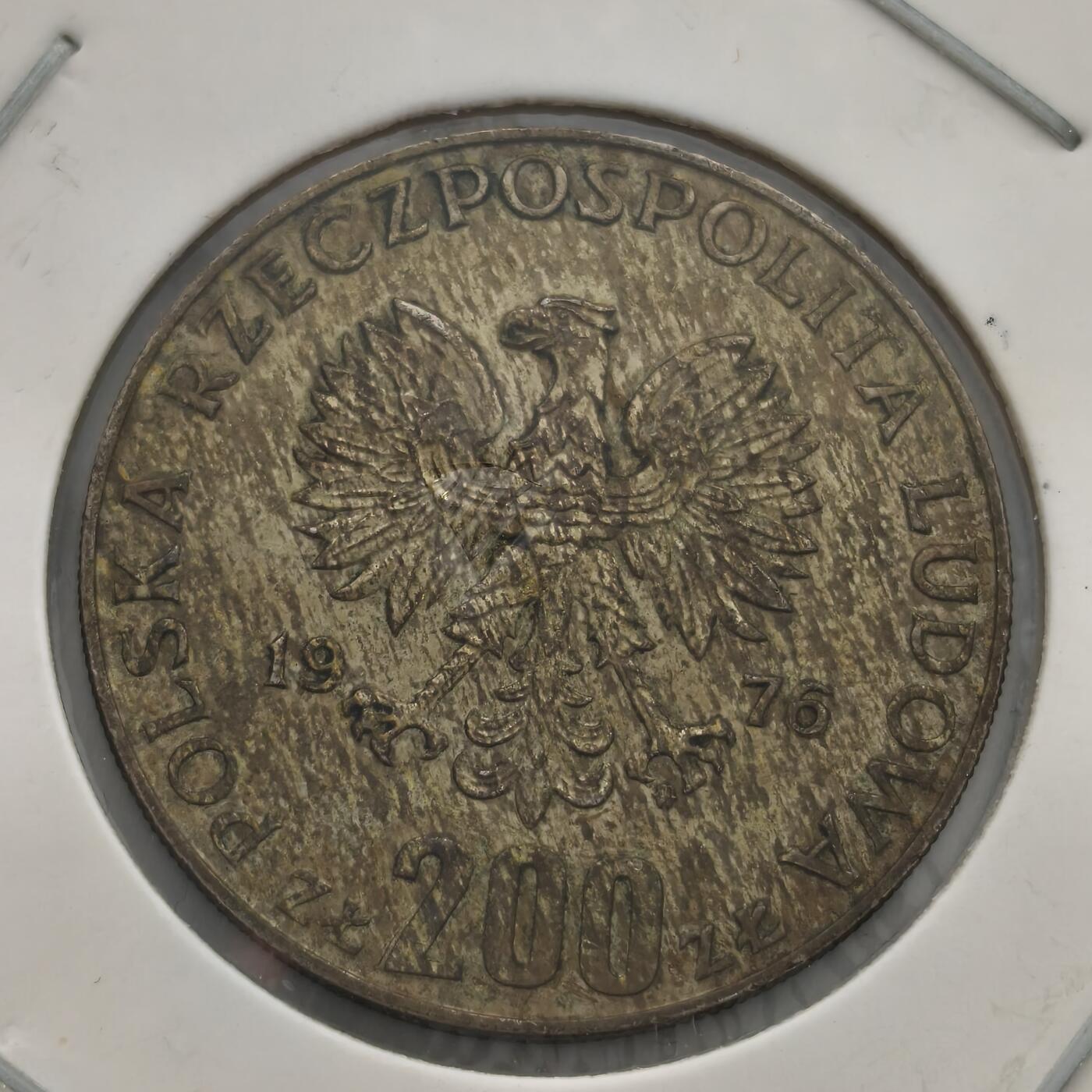 老蟹的宝藏🏴‍☠️ IV