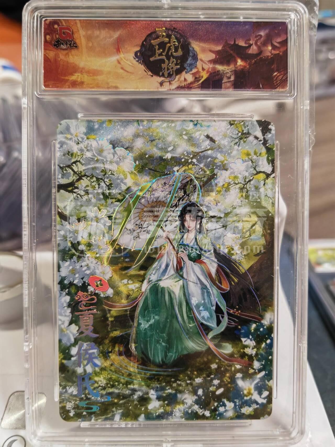 阳大大卡牌拍卖第84期（持续收拍品，周六晚上九点截拍，进群福利早知道）