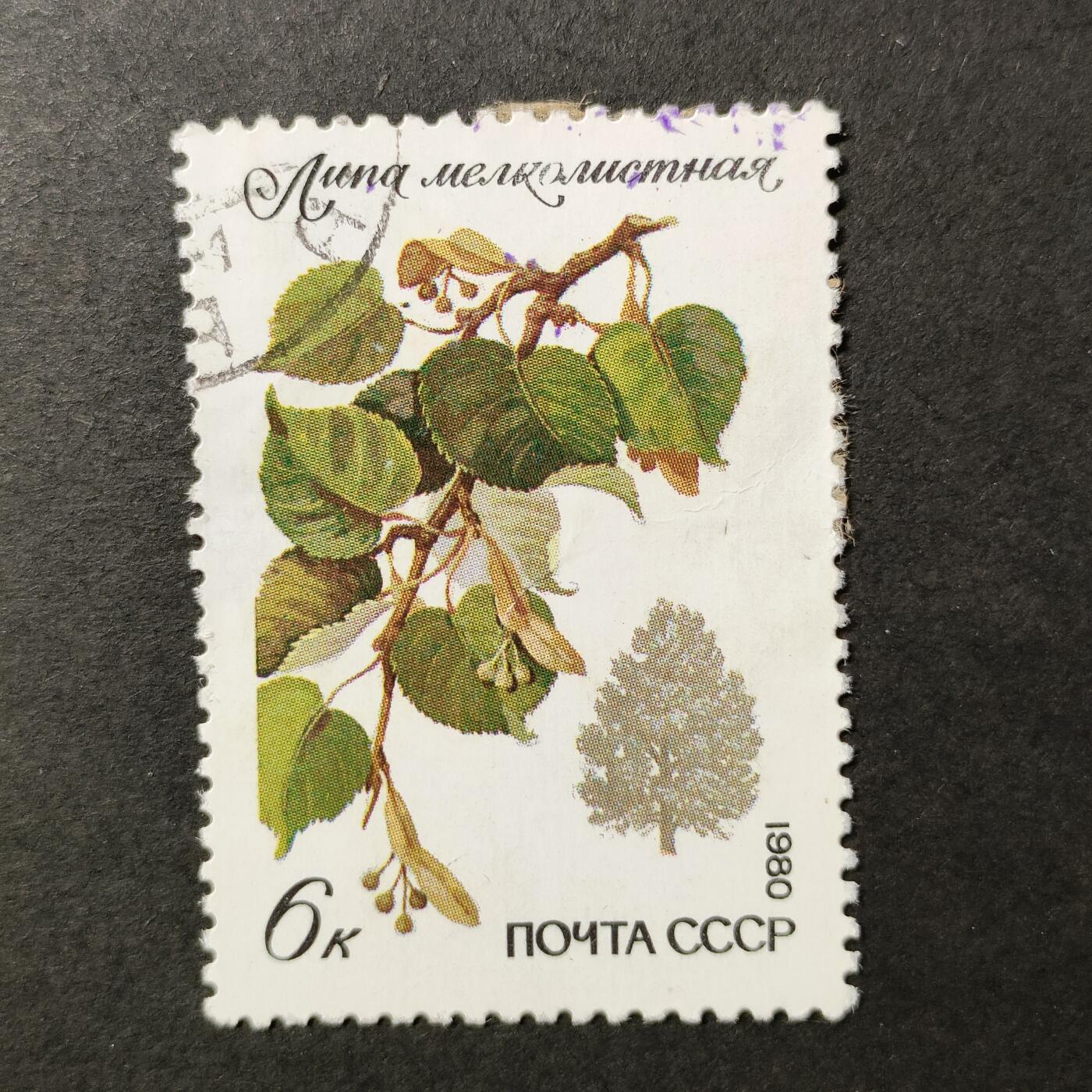 嘉禾收藏    【第389期】            无佣金、可寄存、满30元包邮 苏联邮票