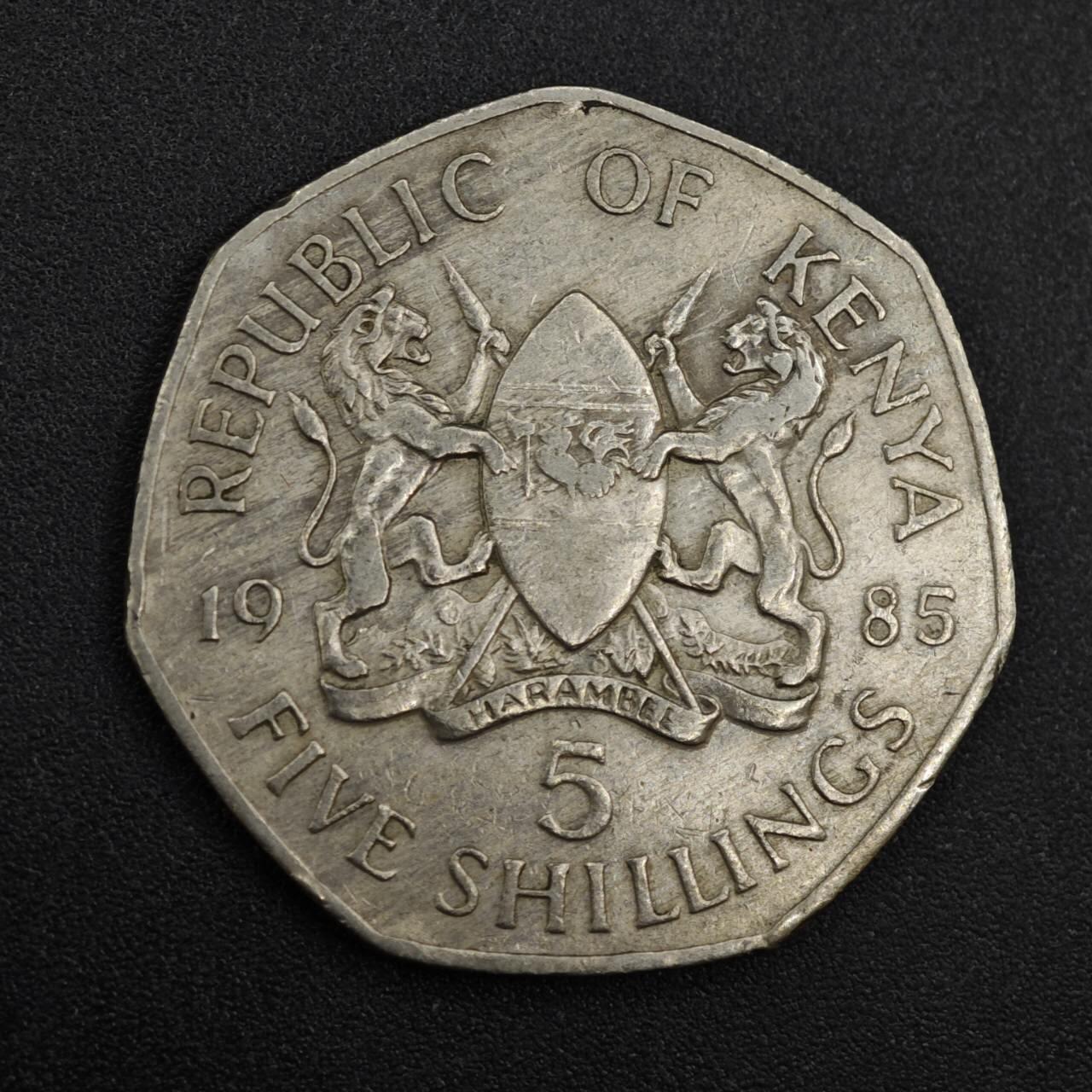 【淘币小摊】实时拍第八百一十拍   散币场   满百包邮可预留二周 每周一统一发货   肯尼亚1985年5先令镍币