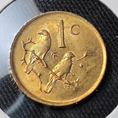 KK钱币收藏小铺 （套币 好品/批量散币 银币）专场  2月预留时间 周末发货 -  1983南非1分铜币 好品