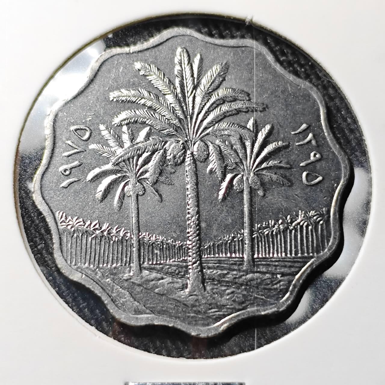 KK钱币收藏小铺 （套币 好品/批量散币 银币）专场  2月预留时间 周末发货  伊拉克10费尔椰树  纪念币好品