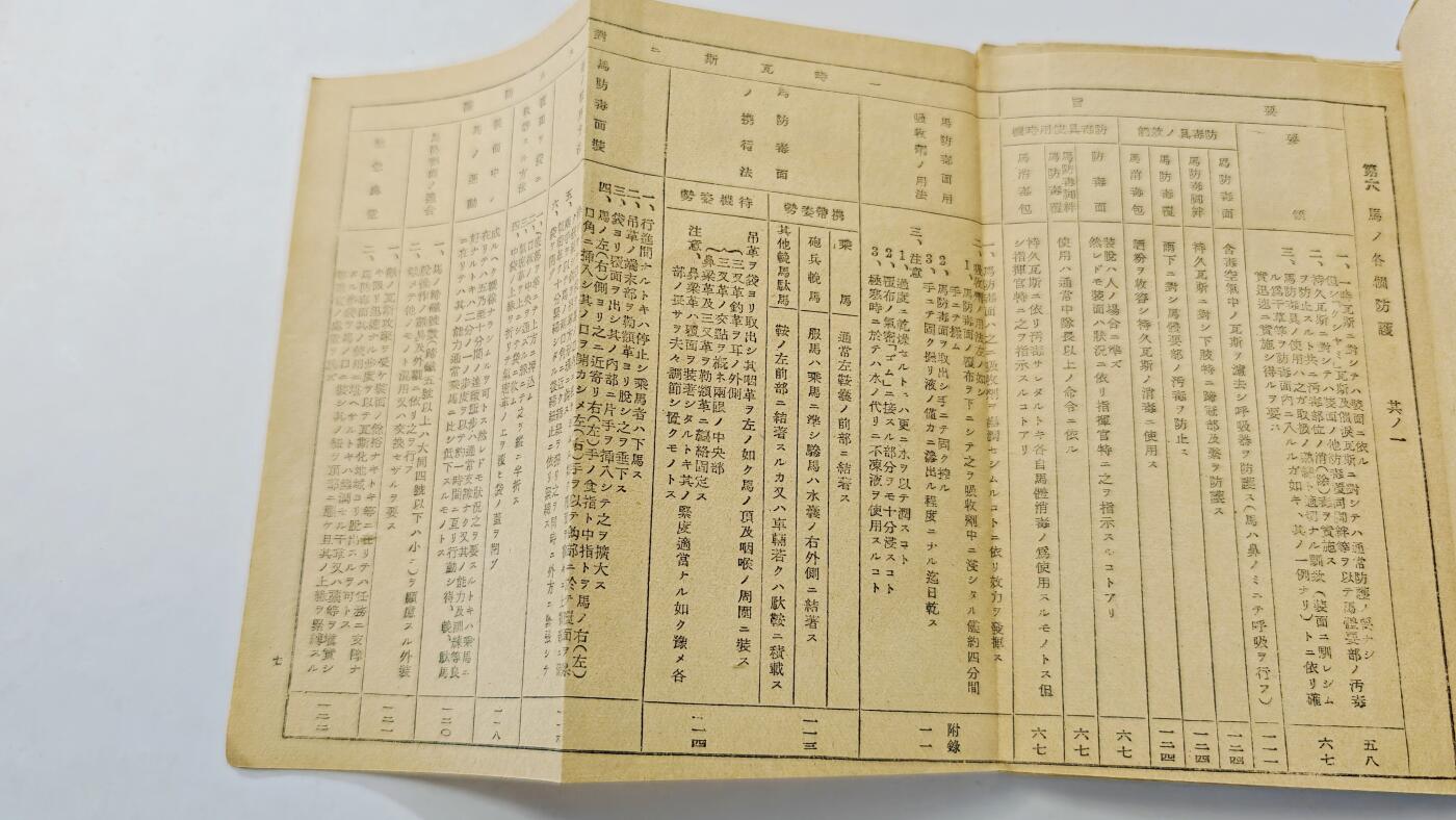 东亚勋章徽章主题拍卖3 日本毒气战防护手册 少见稀有 勿忘国耻