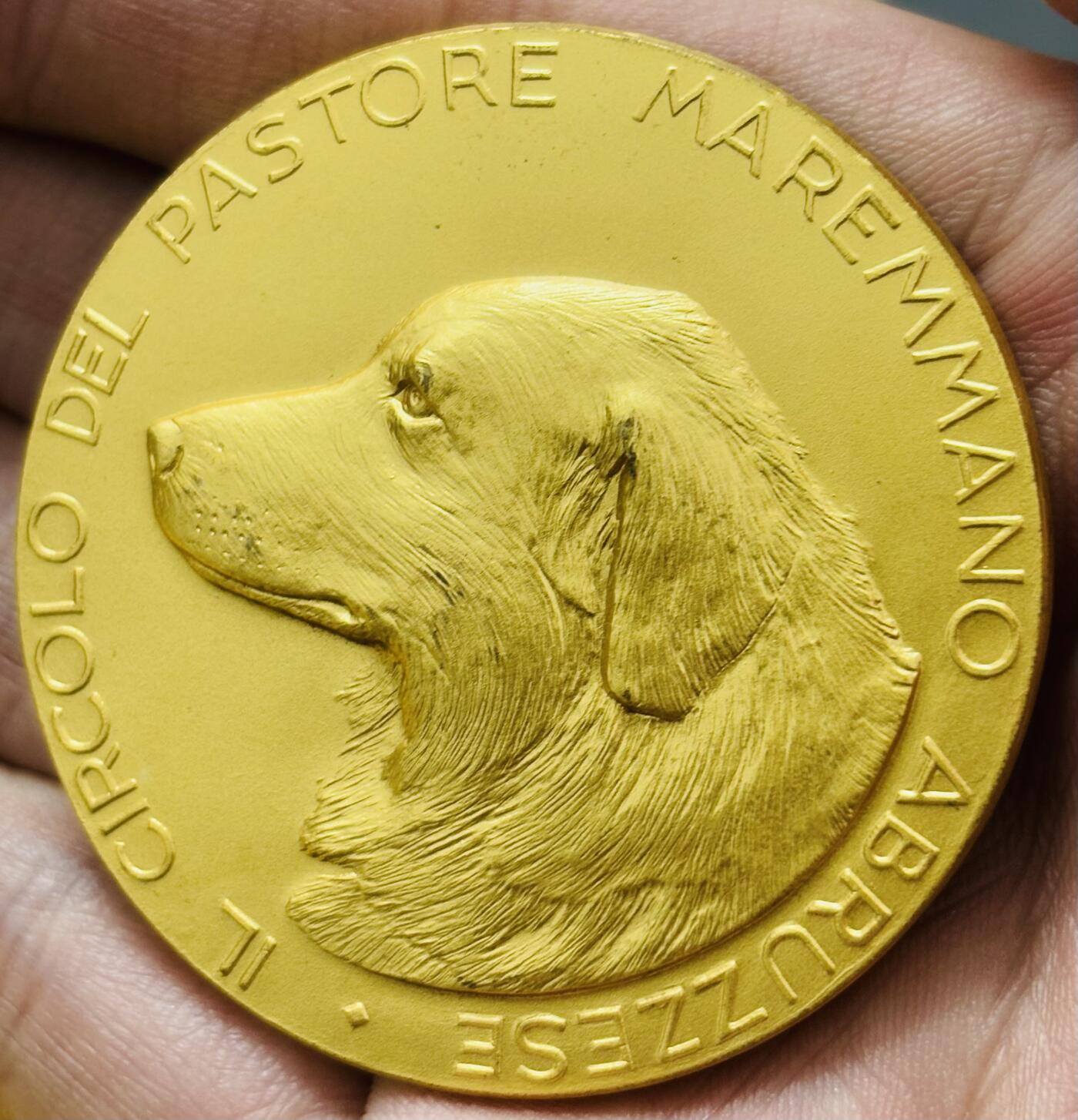 文馨钱币收藏第 283 场，【大雪鉴珍，寒英缀金】金银纪念币精品场，诚邀您的参与【长期接代拍品】 犬类协会镀金铜章 正面狗狗传神逼真毛 发丝丝柔顺 神情憨态可掬 高浮雕 大规格 58.55克 49.8mm