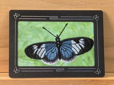 曲院风荷 - 1/1 刺绣 蝶 遇见潮玩 首编 尾编