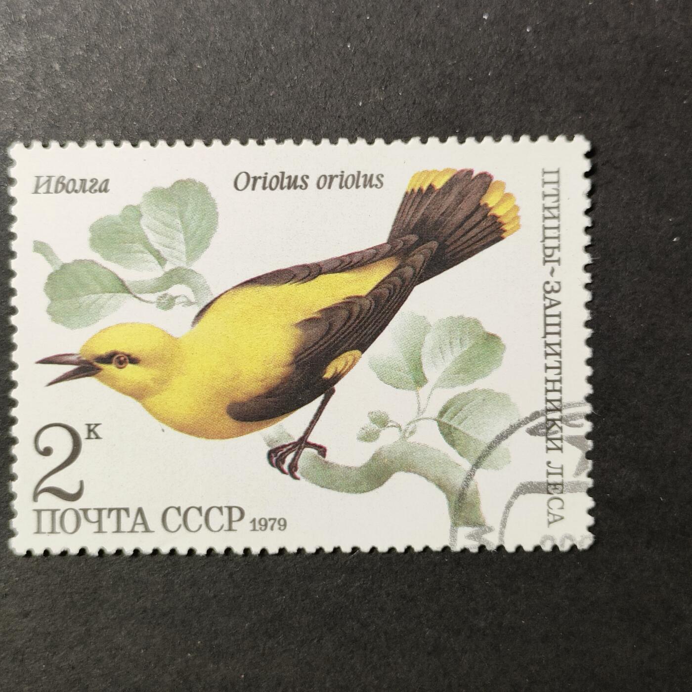 嘉禾收藏    【第389期】            无佣金、可寄存、满30元包邮 苏联邮票