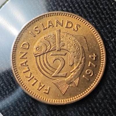 KK钱币收藏小铺 （套币 好品/批量散币 银币）专场  2月预留时间 周末发货 -  1974福克兰群岛1/2便士铜币 少见品种 好品