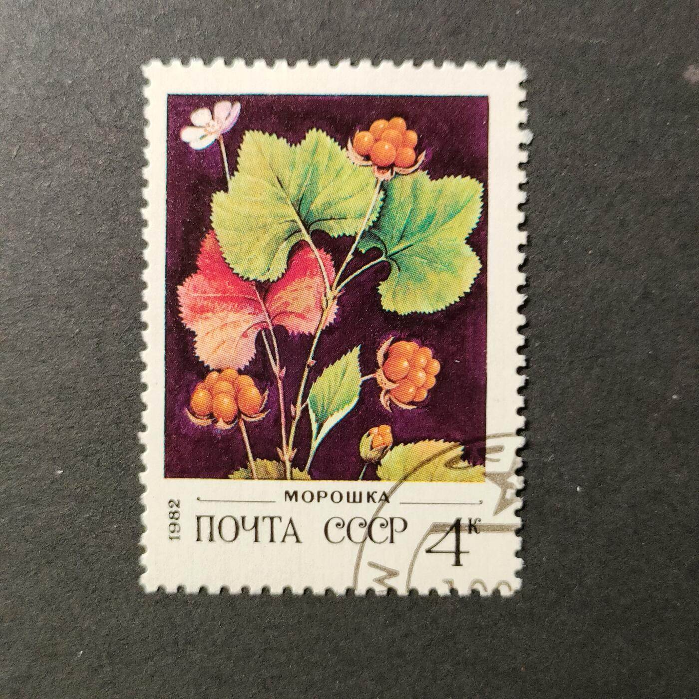 嘉禾收藏    【第389期】            无佣金、可寄存、满30元包邮 苏联邮票