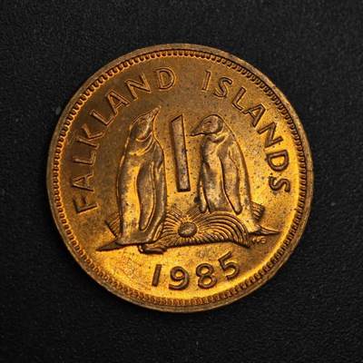 【淘币小摊】实时拍第八百一十拍   散币场   满百包邮可预留二周 每周一统一发货   - 福克兰群岛1985年1便士铜币