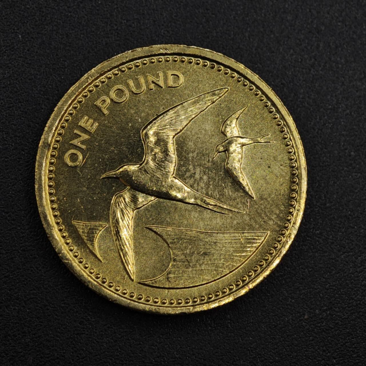 【淘币小摊】实时拍第八百一十拍   散币场   满百包邮可预留二周 每周一统一发货   圣赫勒拿1984年燕鸥一镑铜币