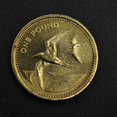 【淘币小摊】实时拍第八百一十拍   散币场   满百包邮可预留二周 每周一统一发货   - 圣赫勒拿1984年燕鸥一镑铜币