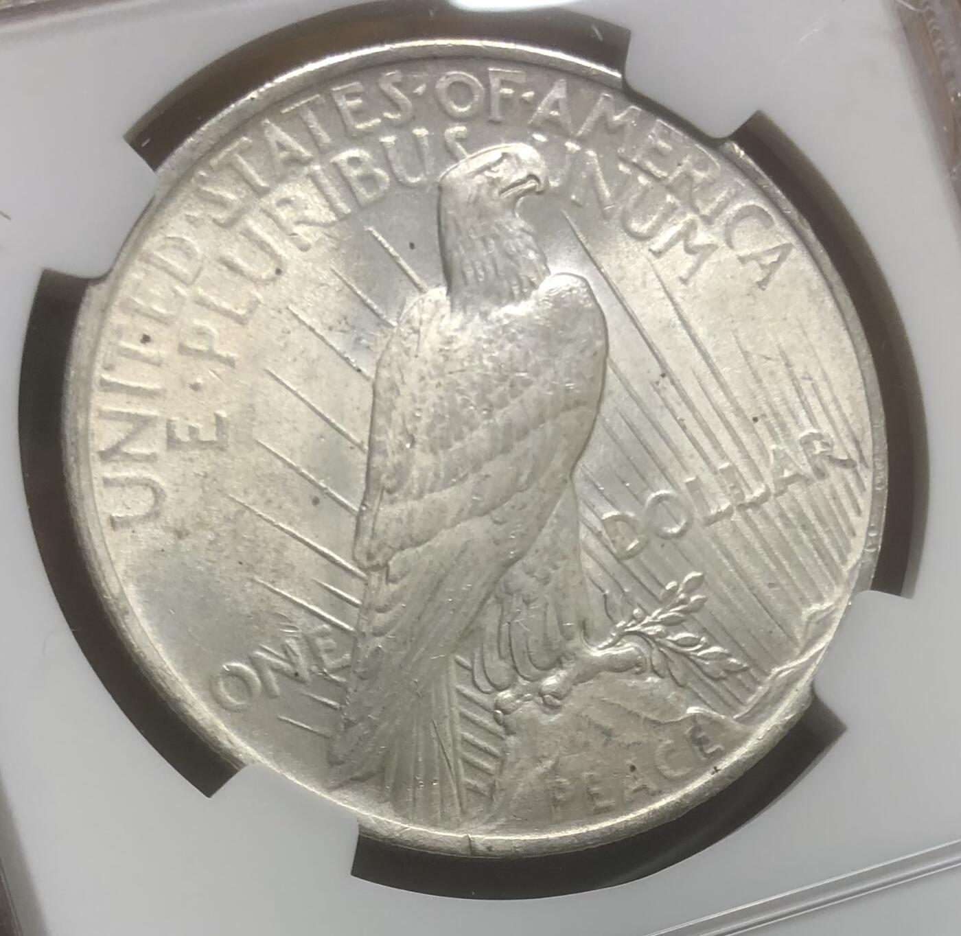 美国和平大银币NGC MS64低评