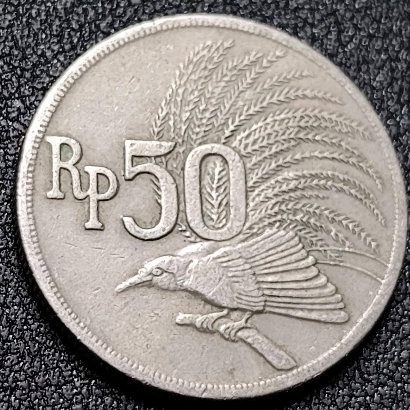 泉币菌-第140场-精品福利场（之前场次29日、30日发货，敬请谅解） 。