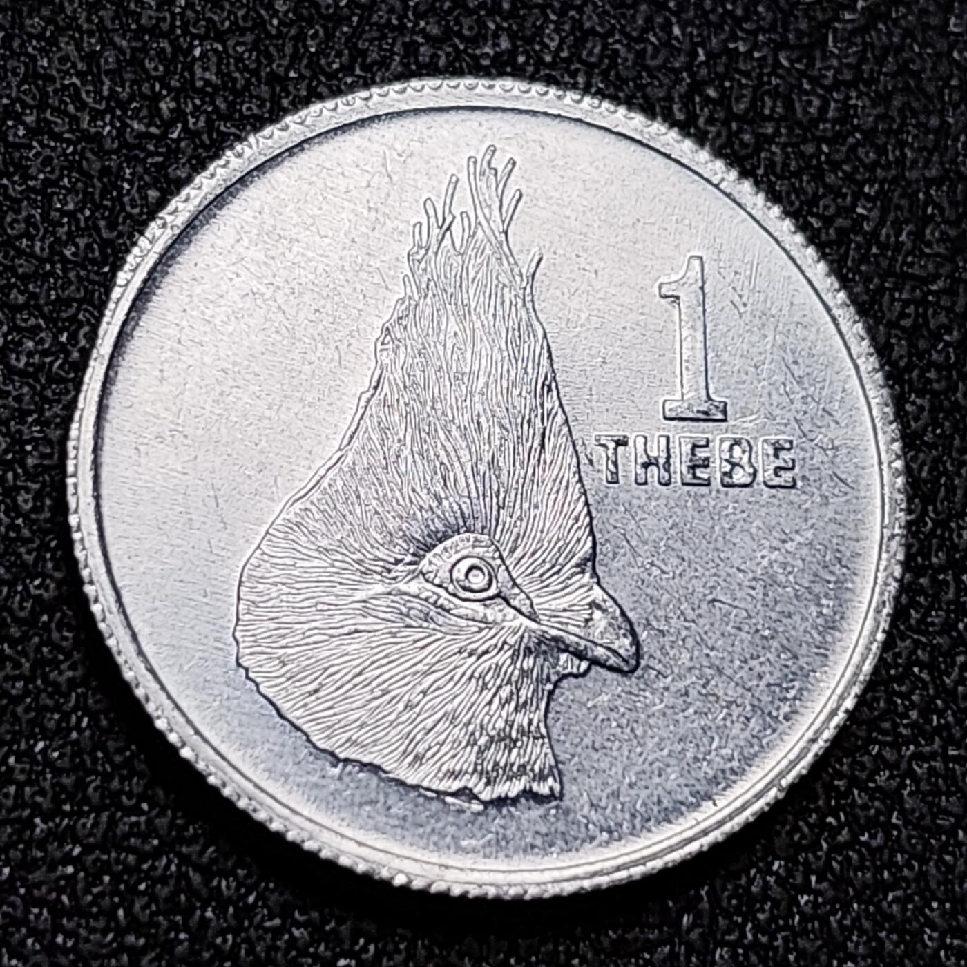 泉币菌-第141场-精品福利场（之前场次29日、30日发货，敬请谅解） 原光 博茨瓦纳1984年1西比铝币 18.5mm 非洲硬币 