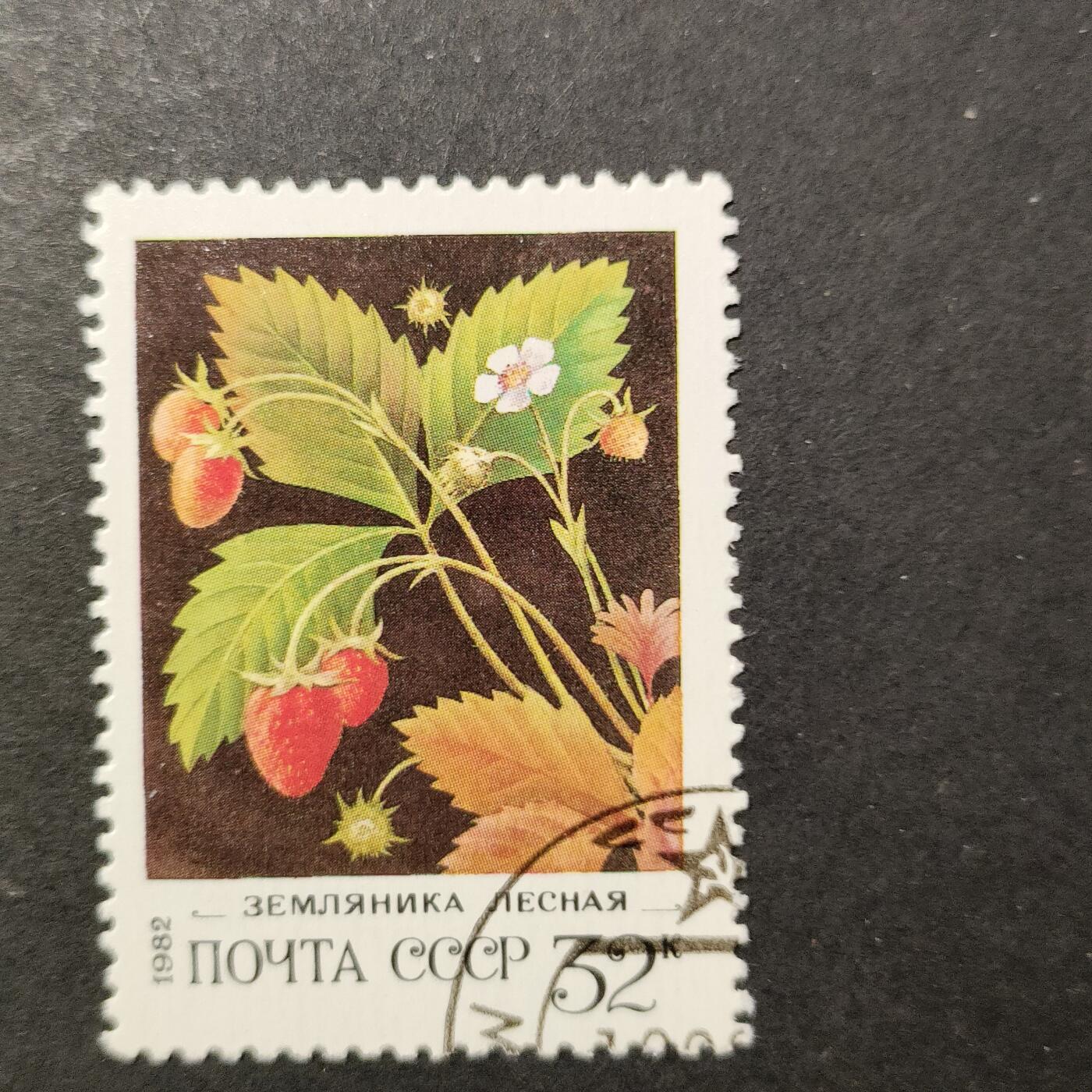 嘉禾收藏    【第389期】            无佣金、可寄存、满30元包邮 苏联邮票