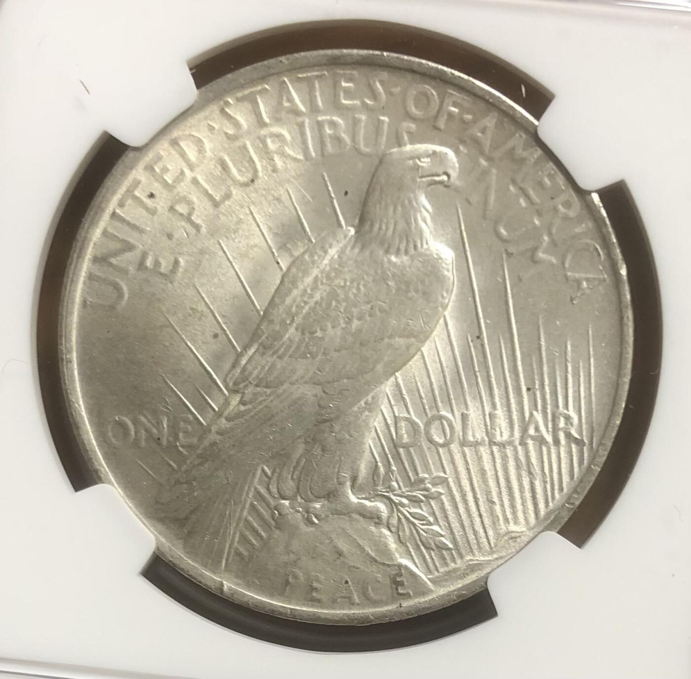 美国和平大银币NGC MS64低评