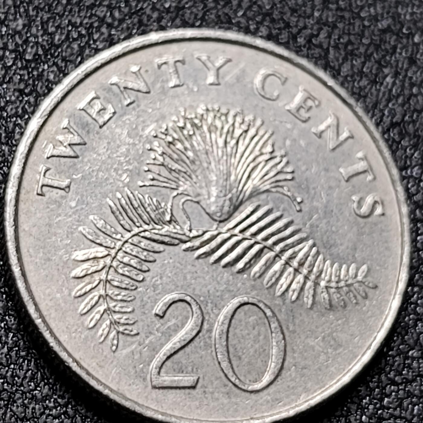 泉币菌-第140场-精品福利场（之前场次29日、30日发货，敬请谅解） 。