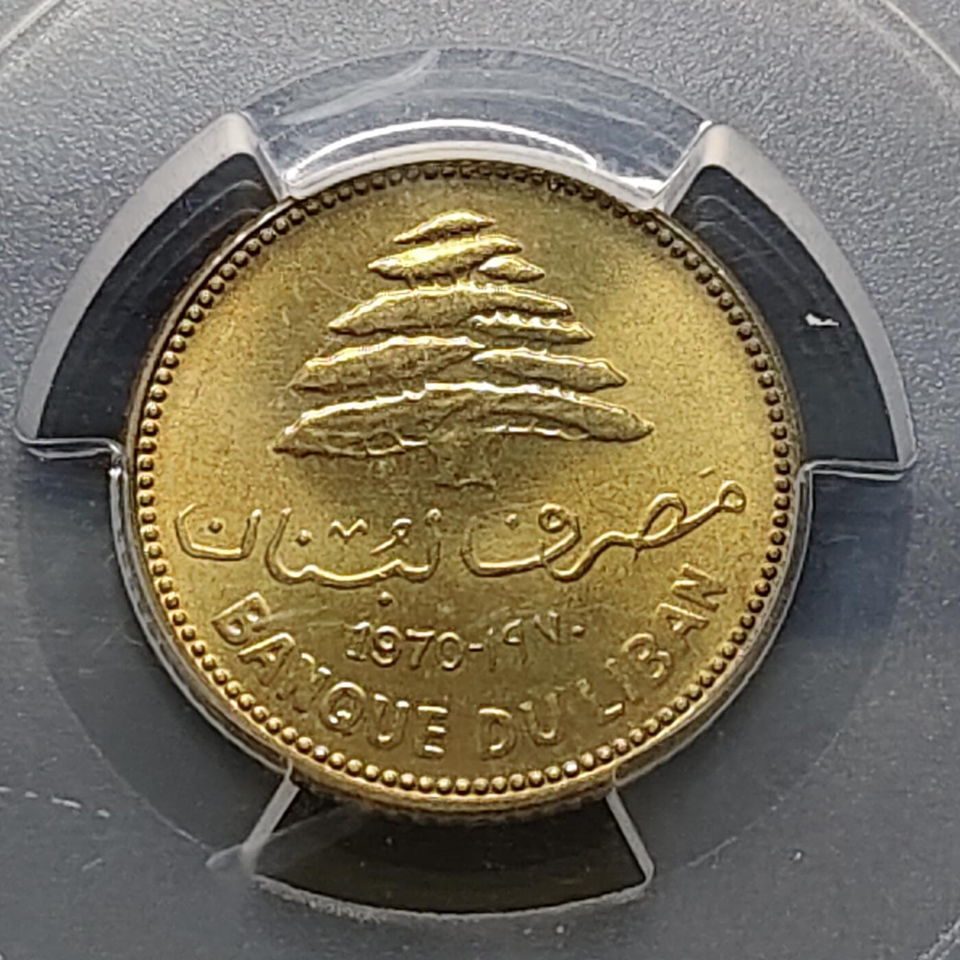 【全场包邮】纯粹捡漏拍481场（免费代拍第18场）