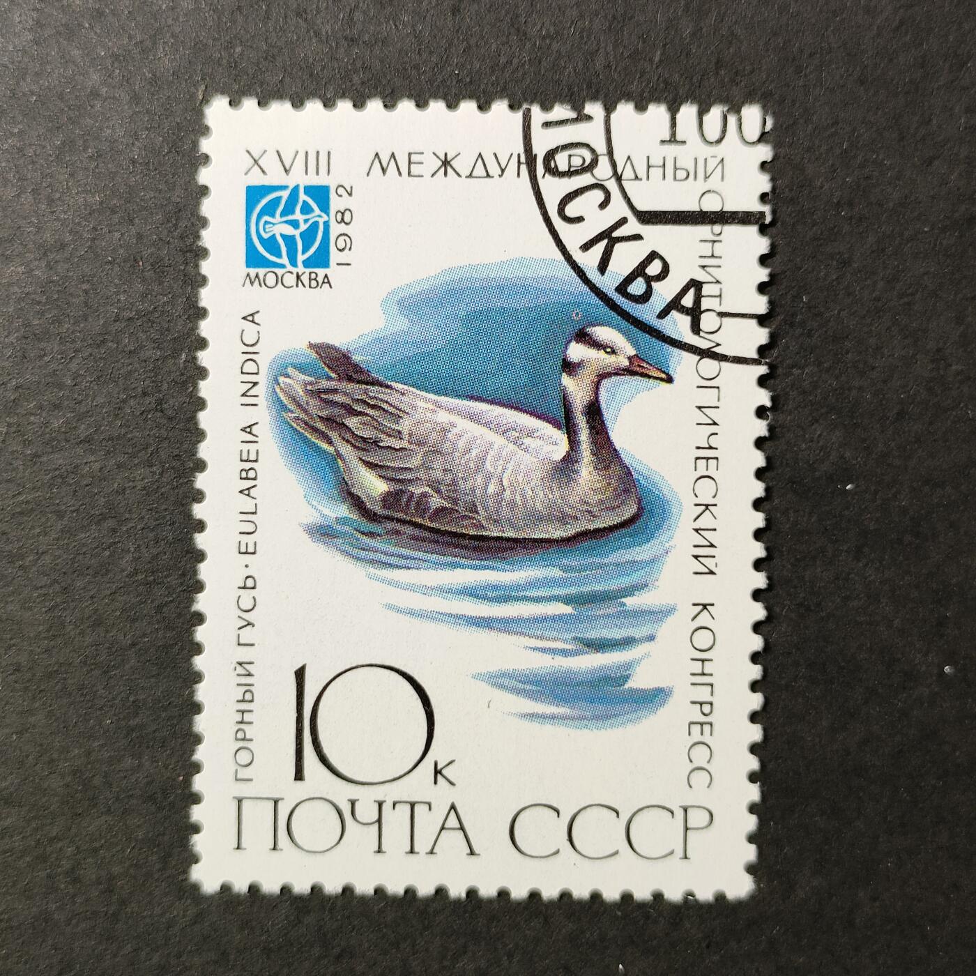 嘉禾收藏    【第389期】            无佣金、可寄存、满30元包邮 苏联邮票