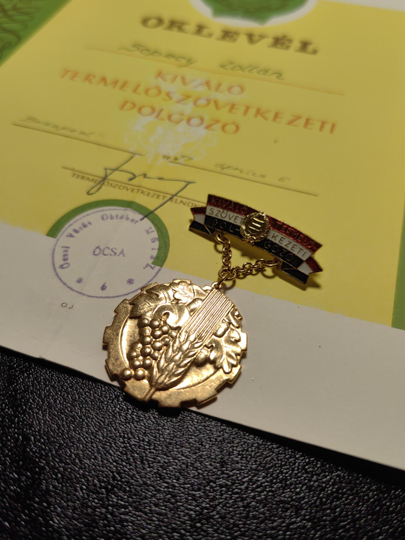 靖甫拍卖第十二场 匈牙利集体农业优秀奖章带大证书