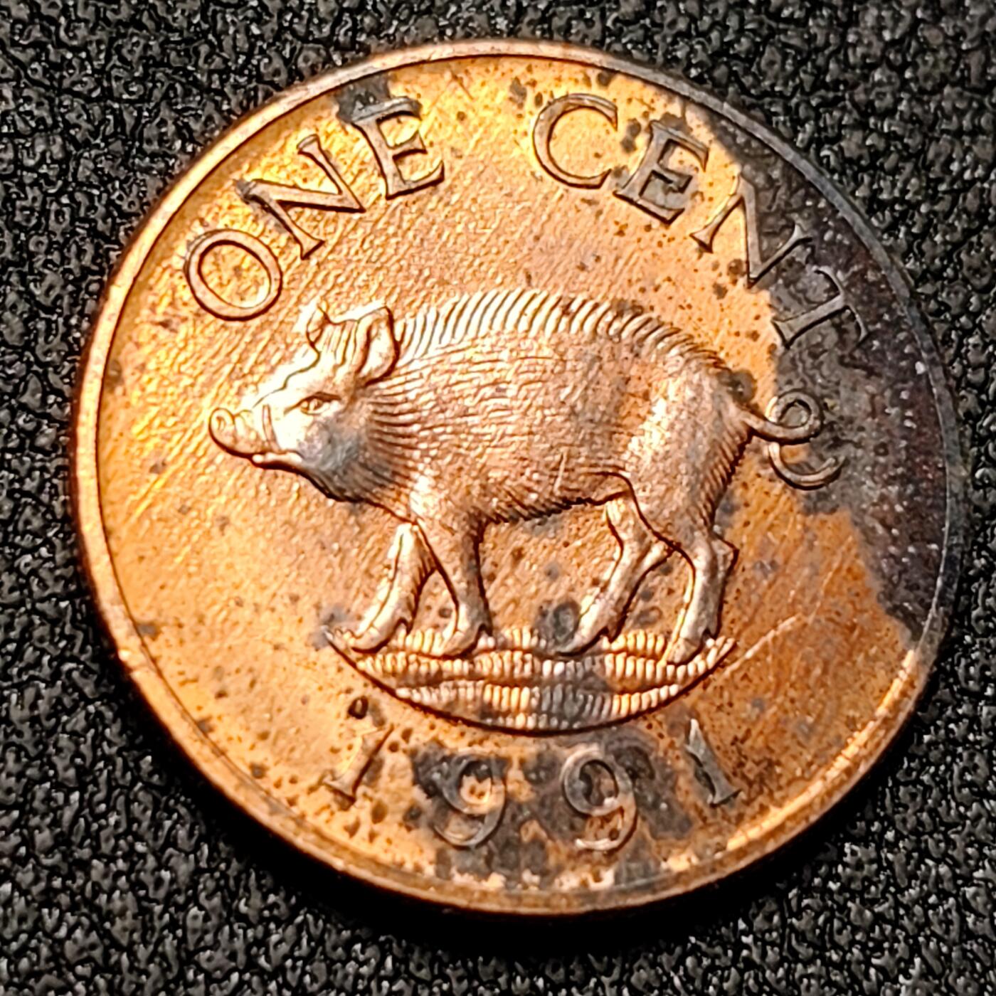 泉币菌-第141场-精品福利场（之前场次29日、30日发货，敬请谅解） 英属百慕大 1991年 1分 铜币 猪 