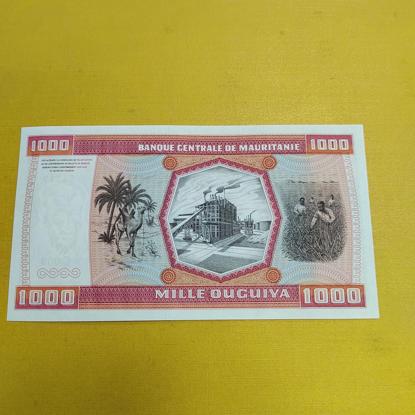 PCAI钱币28-623  古钱铜元硬币小专场 毛里塔尼亚