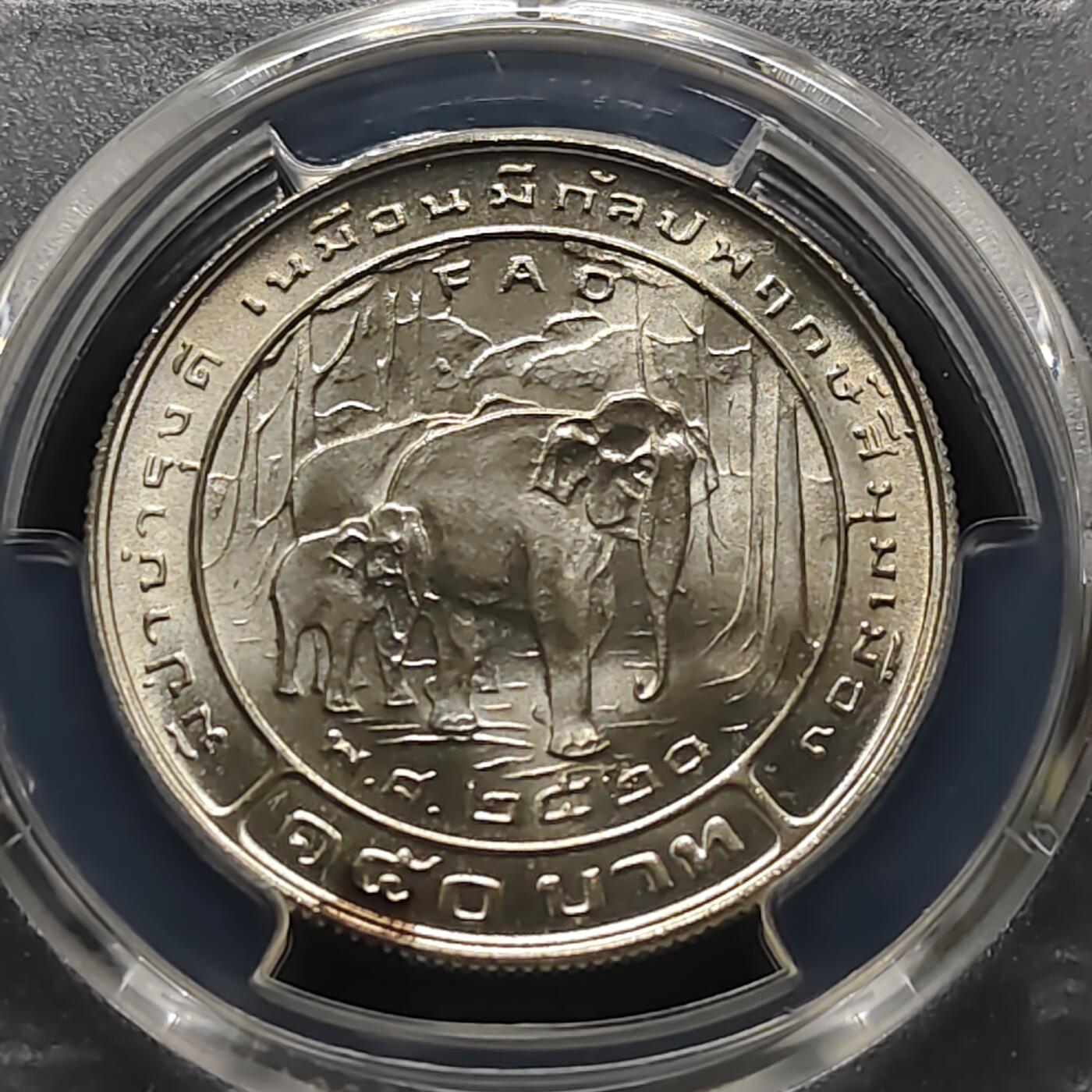 【全场包邮】纯粹捡漏拍481场（免费代拍第18场） 泰国1977年150铢FAO纪念银币-PCGS MS68