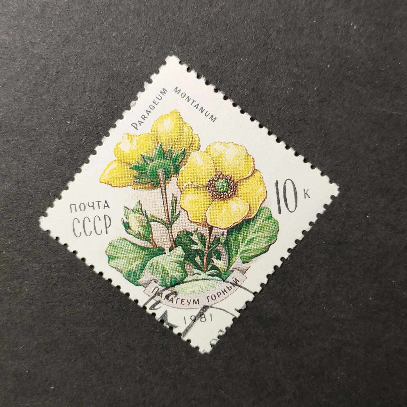 嘉禾收藏    【第389期】            无佣金、可寄存、满30元包邮 苏联邮票