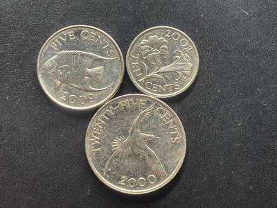 邮泉阁限时拍卖第三十七场 英国殖民地、属地硬币专场（硬币在国外。请付邮费6元。） - 百慕大老年版3枚