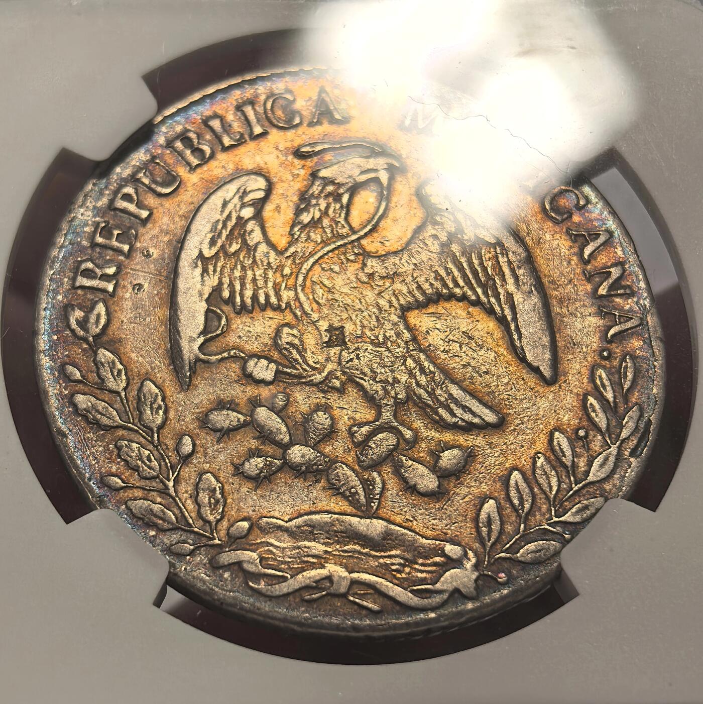 博洋堂世界钱币拍卖第149期（全场包邮） NGC VF 墨西哥花边鹰洋1873DO CP 四级币非常少见 克劳斯125美元起步