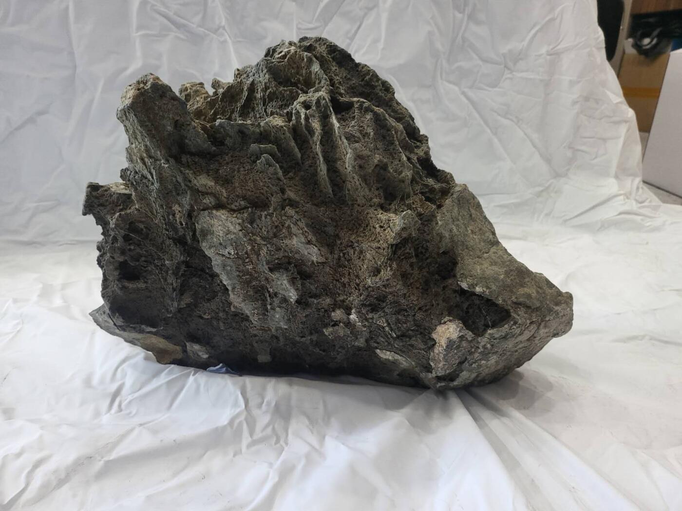 45公斤重定向橄榄陨石