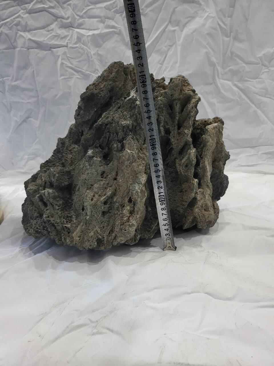 45公斤重定向橄榄陨石