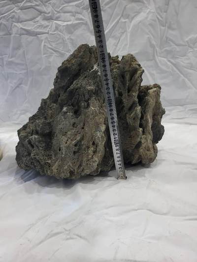 45公斤重定向橄榄陨石 - 45公斤重定向橄榄陨石