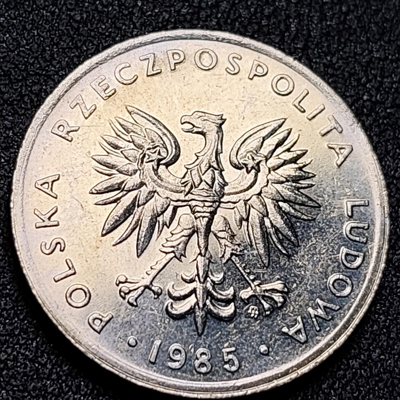 泉币菌-第141场-精品福利场（之前场次29日、30日发货，敬请谅解） 。