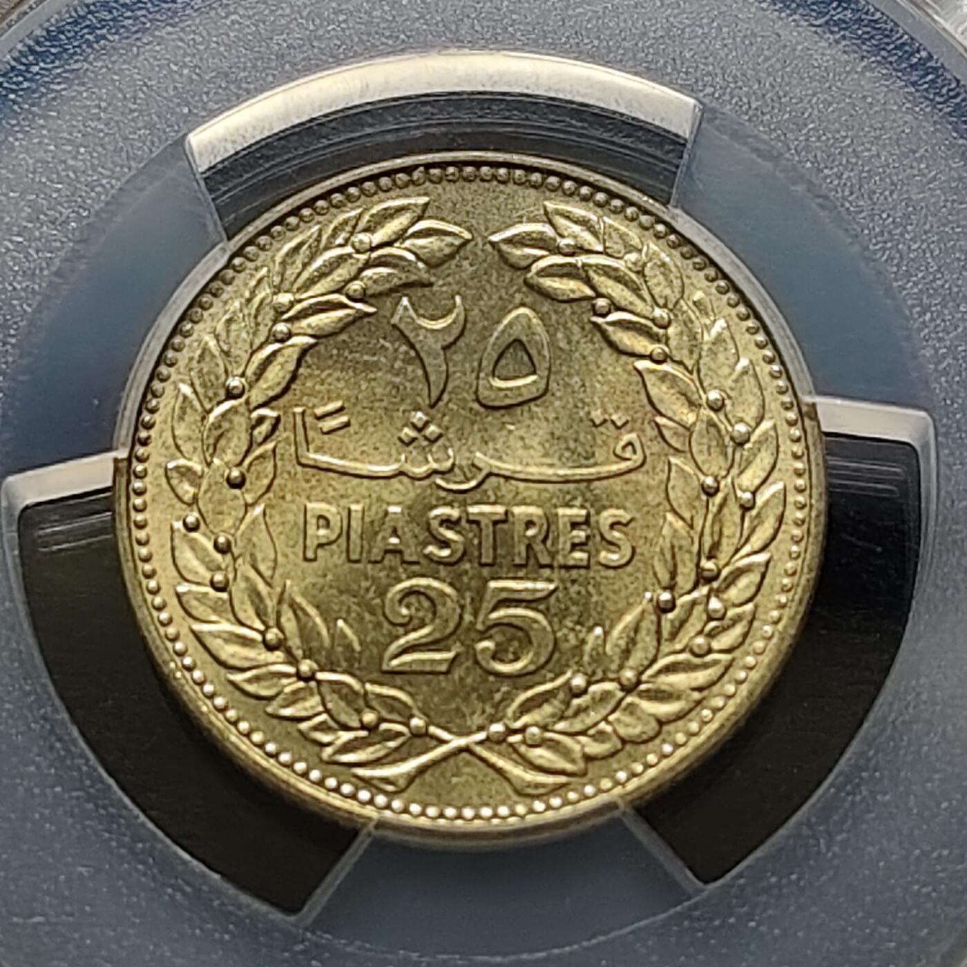 【全场包邮】纯粹捡漏拍481场（免费代拍第18场）