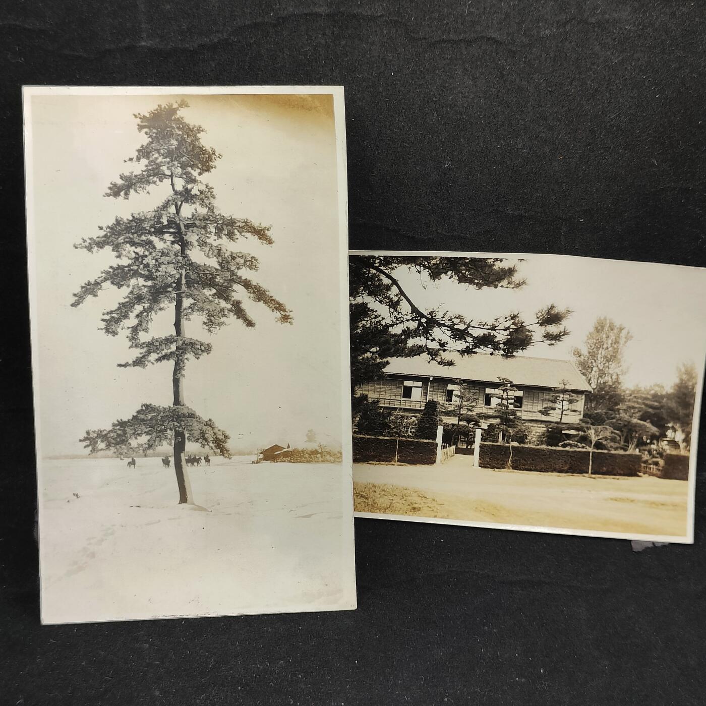 0元起拍勋章 第314期 咸鱼国勋章拍卖专场 11月30日（周日）下午6：00开始