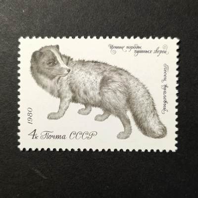 嘉禾收藏    【第390期】            无佣金、可寄存、满30元包邮 - 苏联邮票