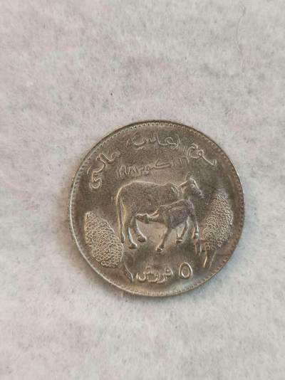 G&W世界散币，银币处理专场（第38场） - 苏丹1981年5格西  FAO