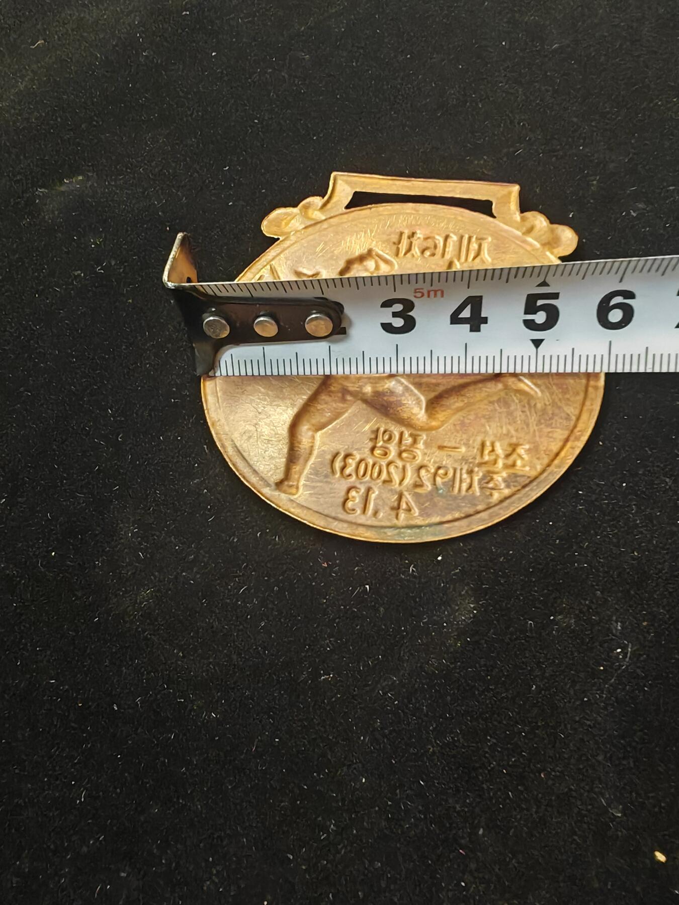 第16届万景台奖国际马拉松定期大会