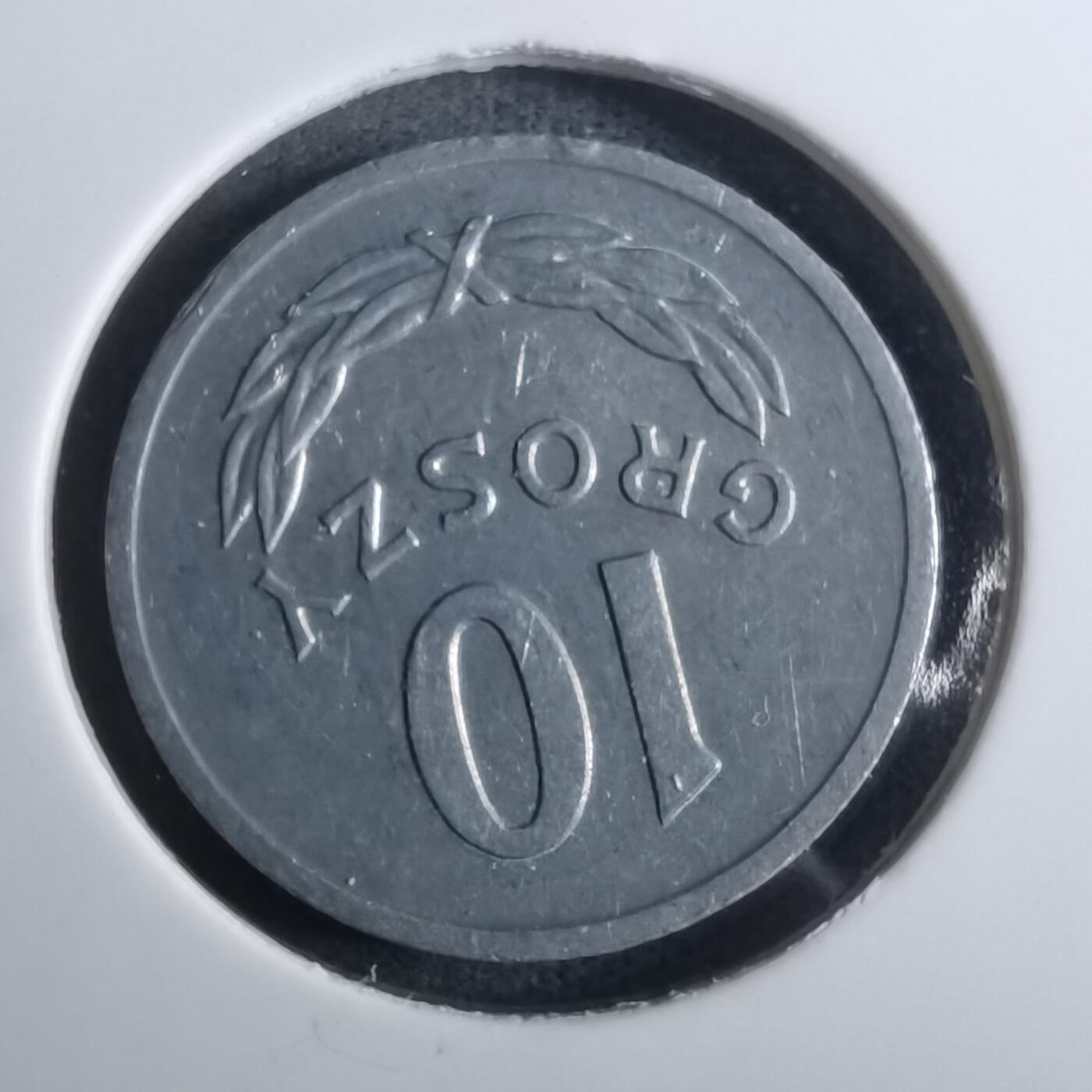 沼泽如烟--第916场