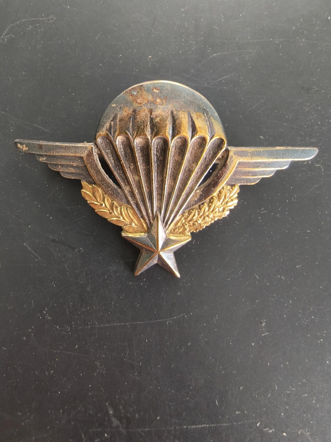 老王徽章第166期 法国空降兵证章